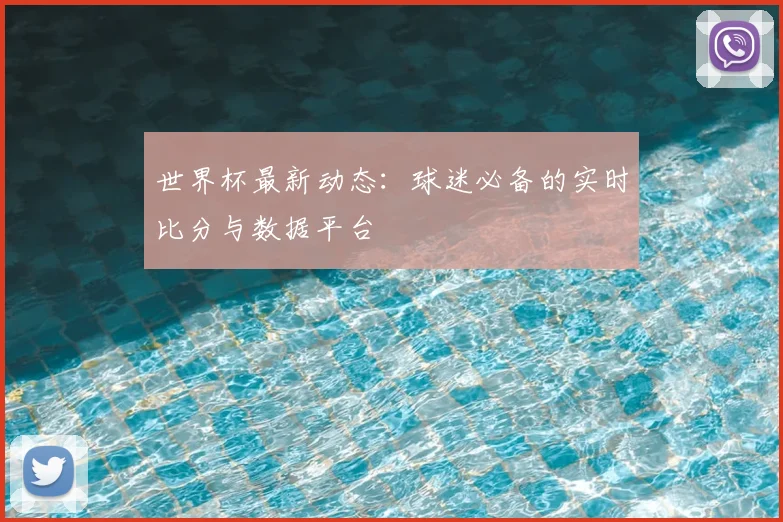 世界杯最新动态：球迷必备的实时比分与数据平台