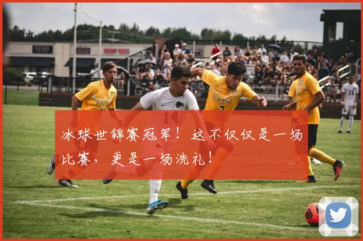 冰球世锦赛冠军！这不仅仅是一场比赛，更是一场洗礼！