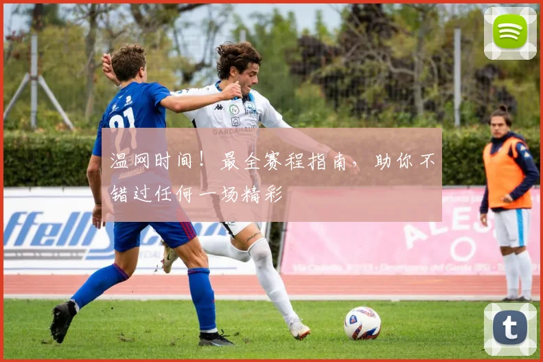 温网时间！最全赛程指南，助你不错过任何一场精彩