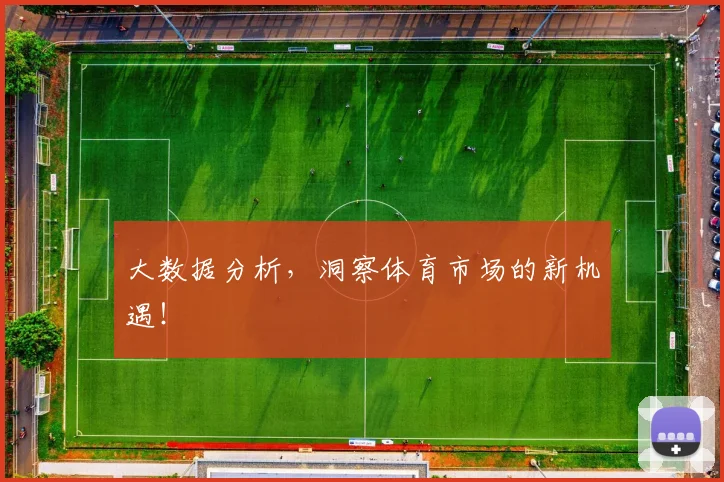 大数据分析，洞察体育市场的新机遇！