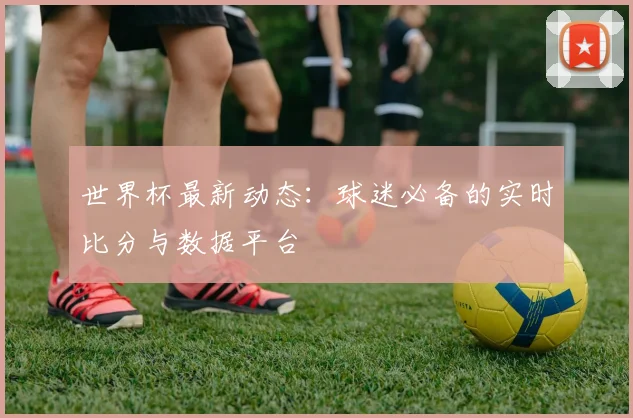 世界杯最新动态:球迷必备的实时比分与数据平台